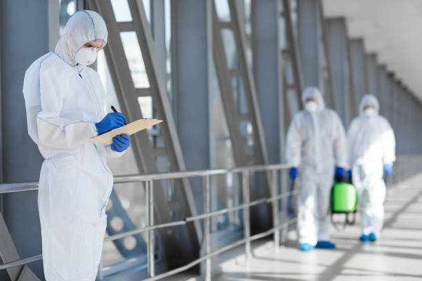 Best Mold Prevention Services  in Bridgeport, NY