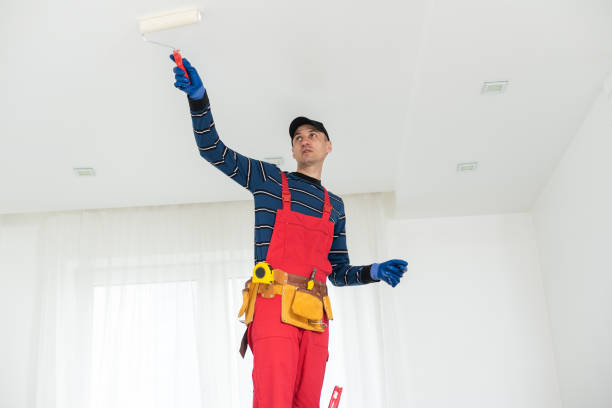 Best Residential Mold Inspection & Testing  in Bridgeport, NY
