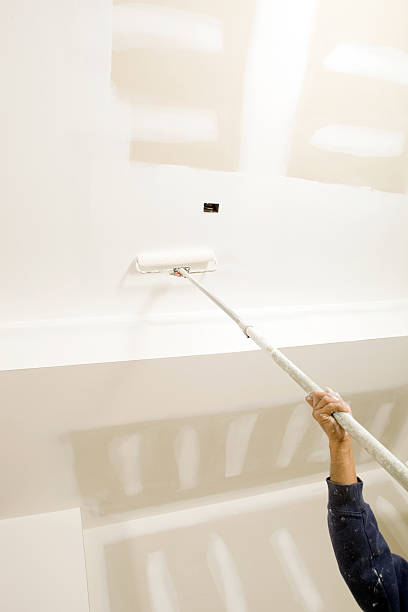 Best Mold Odor Removal Services  in Bridgeport, NY